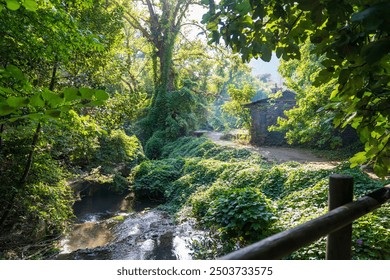 There is a waterfall flowing through the dense forest, there is a stone lodge and there is a wooden bridge. The environment is like a hobbit forest. Fairytale backgrond - Powered by Shutterstock - Get 15% off with code: PIKWIZARD15