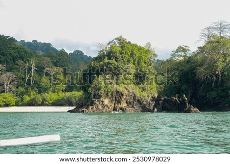There is a white sandy beach surrounded by green plants growing on coral with turquoise sea water.