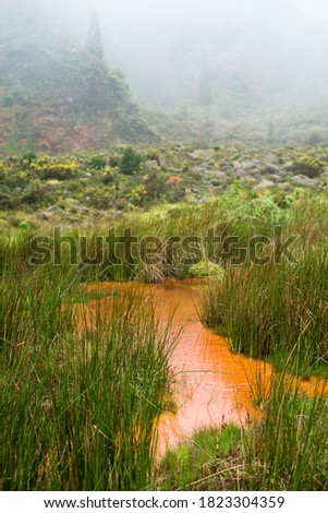 Thermal activity : Thermal wild  water pond hidden in the Valley of Lombadas, Ribeira Grande, Sao Miguel, Azores, Portugal