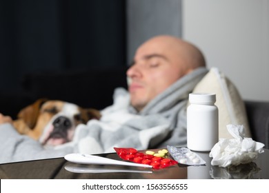 Thermometer, Cold Pills And A Napkin On The Background Of A Sleeping Sick Man Lying In Bed With His Dog. Seasonal Cold Concept. Сoncept Of Support, Care And Friendship Between Human And His Pet.