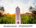 Thermometer in grass on sunset. Thermometer for measuring outdoor air temperature. Meteorological device for observing and measuring the weather. Weather forecast. Hot weather, drought in summer.