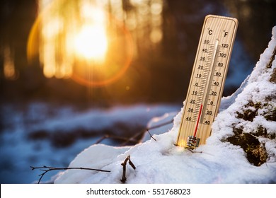 Thermometer With Low Temperature In The Snowy Woods. Cold Weather In The Woods