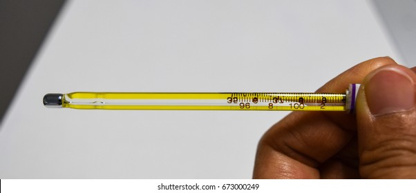 anal temperature measurement Anal temperature measurement