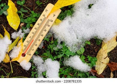 A thermometer showing zero degrees lies on the ground among freshly fallen melting snow, green grass and yellow autumn leaves. Soil temperature. The first snow, cooling and frosts. Close-up
