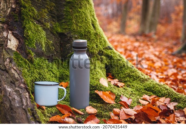 Thermos and travel mug in forest. Insulated drink
container. Mossy tree trunk and fallen autumn leaves. Refreshment
during hiking in nature