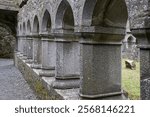 These ancient cloisters are at the heart of Ross Friary in Ireland.