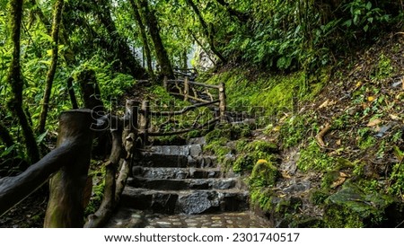 Similar – stairs with moss in the middle of a dark forest