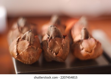 These Are Coconut Pistils That Fall Before Becoming Fruit. Suitable For Backgrounds, Illustrations, Biology Education Props, And Design Concepts.