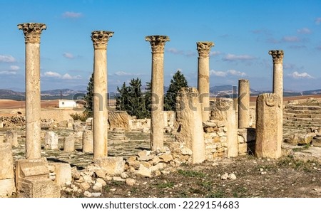 these Corinthian pillars are found in the forum of Madauros. 