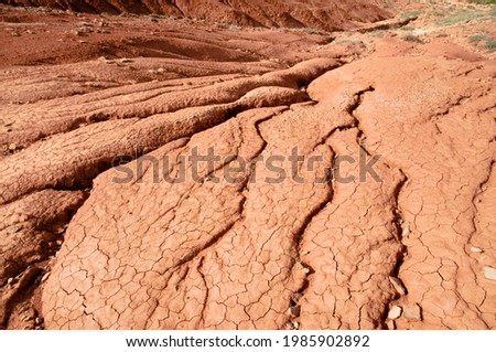 These red ancient clays of the Permian period and are 250 - 290 million years old. They're older than sandstone rocks.
Astrakhan Region, Russia