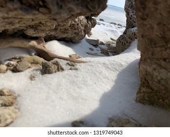 These Were Shot At Tuttle Creek Lake