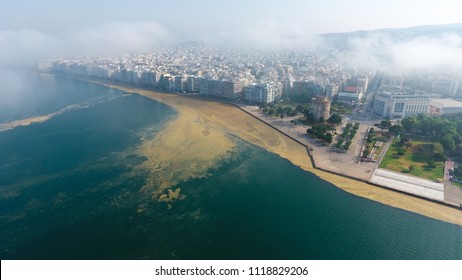 Thessaloniki Plankton Polution - Drone Photos