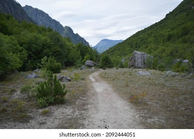 Theth albanian village region of Albanian Alps and Accursed mountians. Shkoder, Balkans. Forest and mountains
