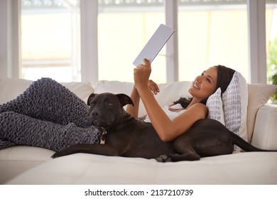 They have apps for pets too these days. Shot of an attractive young woman relaxing on the sofa with her dog and using a digital tablet.