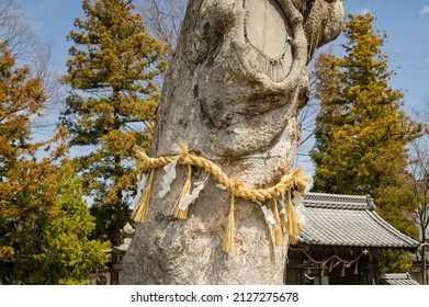 They are the home of a kat (spirit) and with the help of such a tree you can comprehend kami, as well as recharge your energy and fortitude. They are fenced or wrapped around with a sacred rope. - Shutterstock ID 2127275678