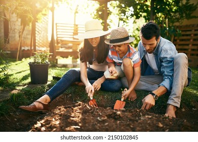 Theyre All About Growing Their Own. Shot Of A Family Gardening Together In Their Backyard.