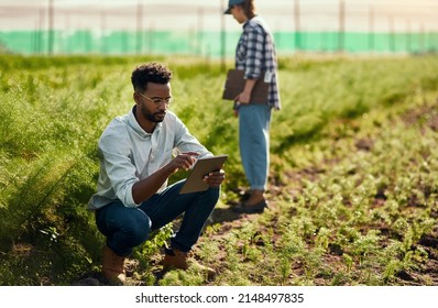 Theyve both got a job to do. Full length shot of a handsome young male farmer using a tablet while working on his farm with a female colleague in the background. - Powered by Shutterstock