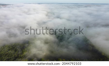 Thick autumn morning fog over the green forest. Drone flight in the morning over natural landscapes