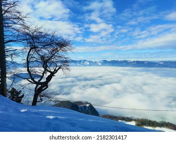 Thick Blanket Of Fog Over The City Of Bregenz