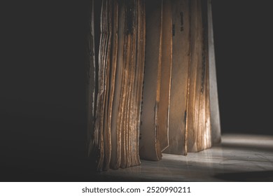 a thick book standing in a low-light room - Powered by Shutterstock