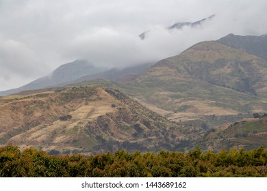 Thick clouds rolling over a hillside above green bushes 
