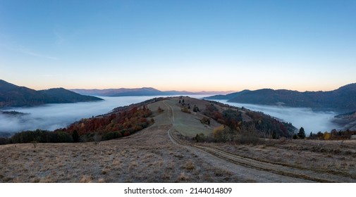 Thick fog among peaks of high mountain ridge covered with evergreen forests under blue cloudless sky at bright orange sunrise aerial view