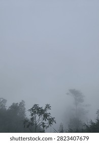 thick fog and eventually it will disappear