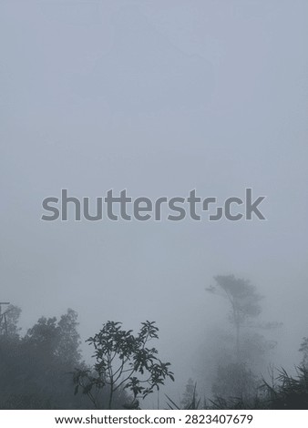 thick fog and eventually it will disappear