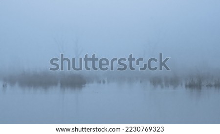 thick fog over a marsh landscape in  Bourgoyen nature reserve, Ghent, Flanders, Belgium 