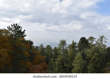 A thick forest canopy dominates the foreground and midground, showcasing a rich mix of seasonal colors. On the left, a large cluster of trees is covered in golden and amber autumn foliage, while the center and right are filled with towering green pines and evergreens.

Beyond the treetops, distant mountain ridges roll across the horizon, softened by a heavy atmospheric haze that underscores the vast scale of the landscape. Above, an expansive sky is filled with rolling white and grey cloud layers, casting soft, diffused natural daylight over the serene highland wilderness.