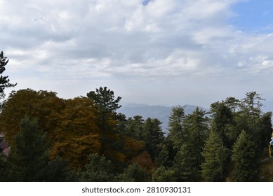A thick forest canopy dominates the foreground and midground, showcasing a rich mix of seasonal colors. On the left, a large cluster of trees is covered in golden and amber autumn foliage, while the center and right are filled with towering green pines and evergreens.

Beyond the treetops, distant mountain ridges roll across the horizon, softened by a heavy atmospheric haze that underscores the vast scale of the landscape. Above, an expansive sky is filled with rolling white and grey cloud layers, casting soft, diffused natural daylight over the serene highland wilderness.