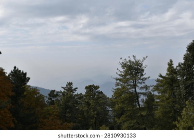 A thick forest canopy dominates the foreground and midground, showcasing a rich mix of seasonal colors. On the left, a large cluster of trees is covered in golden and amber autumn foliage, while the center and right are filled with towering green pines and evergreens.

Beyond the treetops, distant mountain ridges roll across the horizon, softened by a heavy atmospheric haze that underscores the vast scale of the landscape. Above, an expansive sky is filled with rolling white and grey cloud layers, casting soft, diffused natural daylight over the serene highland wilderness.