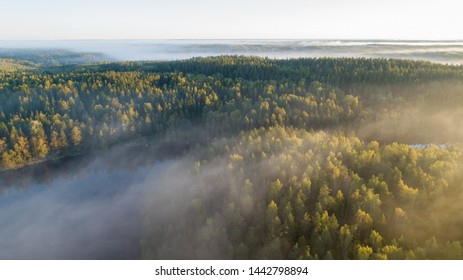 Thick glowing fog among spruce forest down in the valley. Wonderful nature background. Aerial viewpoint. Beautiful Finnish nature. - Powered by Shutterstock