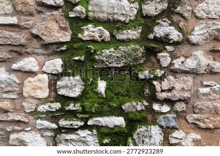 Thick horizontal layers of ancient stone blocks are deeply accented by bright green patches of flourishing damp moss. The rough chiseling marks on the individual rocks tell a story of immense physical labor from a forgotten building era. This rugged organic texture is excellent for conveying concepts of history and natural resilience.