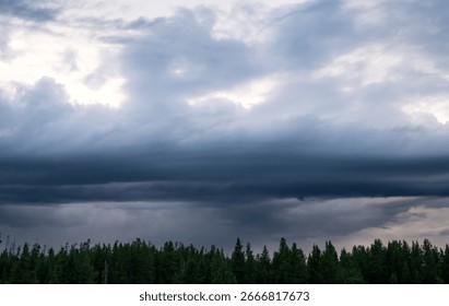 Thick Layer Of Gray Clouds Hang Over Dark Green Forest Of Pine Trees in Grand Teton National Park