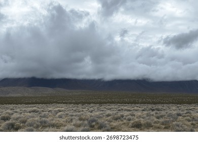 Thick low clouds settling over dark mountain foothills with dry desert shrubs in the foreground. Moody, overcast landscape scene.