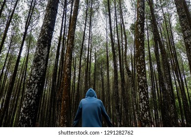 thick pine forests and there are men who are mean.