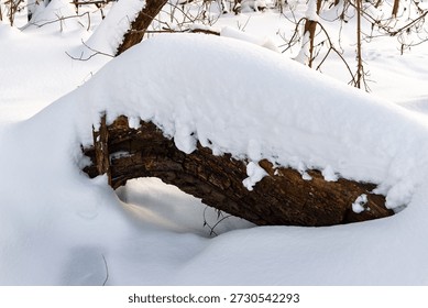 Thick, pristine snow blankets a rustic fallen log, forming smooth, gentle drifts in a tranquil winter scene. Nature's frosty embrace on weathered wood