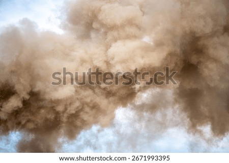 Thick smoke drifting through trees, creating a dramatic and atmospheric forest scene.