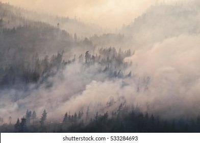 Thick Smoke Forest Fire Canada