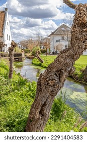 Thick trunk of pollard willow tree, Thornerbeek stream and old Kraekermolen watermill in background, house with white walls against blue sky and clouds, sunny day in Thorn, Midden-Limburg, Netherlands