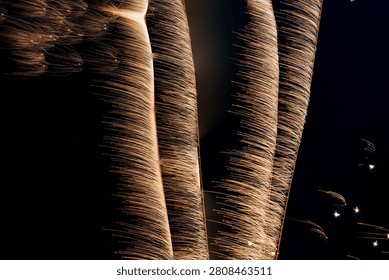 Thick, vertical cascades of golden firework light trails resembling a glowing waterfall against a black night sky.