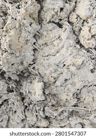 Thick wet clumpy mud texture background. Close-up view of heavy gray clay soil mixed with dry organic grass roots and straw fibers.