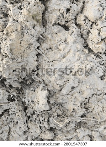 Thick wet clumpy mud texture background. Close-up view of heavy gray clay soil mixed with dry organic grass roots and straw fibers.
