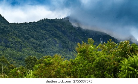 Thick white clouds and mist rolling over a densely forested mountain ridge, creating a mysterious and atmospheric tropical highland scene.