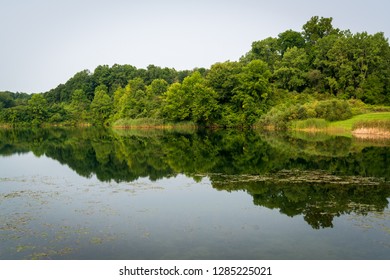 The Thick Wooded Area Of Cuyahoga Valley National Park, Ohio.