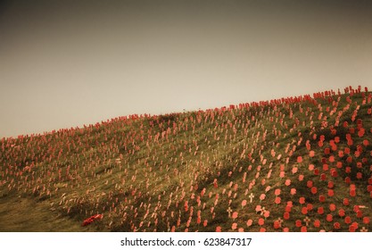 Thiepval Memorial Poppies