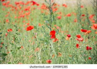 Thiepval Somme Battlefields WW1 France