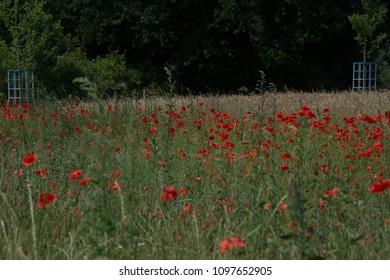 Thiepval Somme Battlefields WW1 France