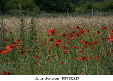 Thiepval Somme Battlefields WW1 France